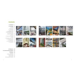 The Space Within:  Skyspaces in Tall Buildings