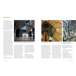 The Space Within:  Skyspaces in Tall Buildings