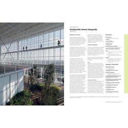 The Space Within:  Skyspaces in Tall Buildings