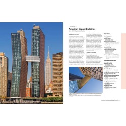 The Space Across:  Skybridges and the Future City