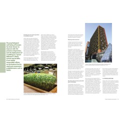 Green Walls in High-Rise Buildings