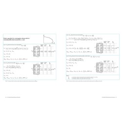 Composite Megacolumns - DIGITAL