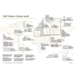 Timber Rising: Global Perspectives on Mass Timber Advances for the Tall Building Industry