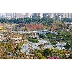 Vertical Urbanism Issue IV Q2 2025