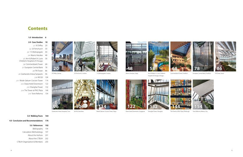 The Space Within:  Skyspaces in Tall Buildings
