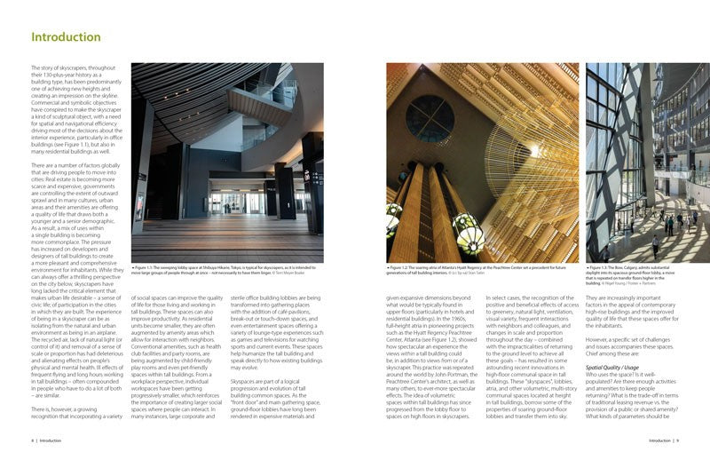 The Space Within:  Skyspaces in Tall Buildings