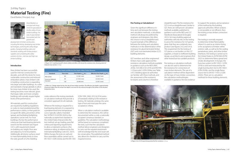 Tall Timber: Mass Timber for High-Rise Buildings